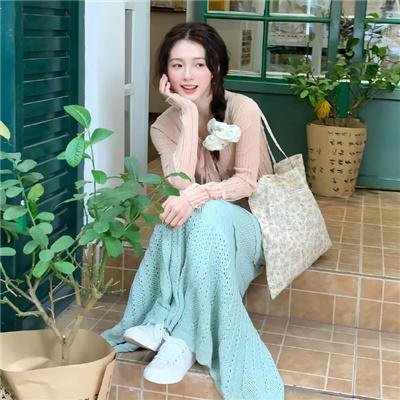 全面搜寻圣诞狗狗